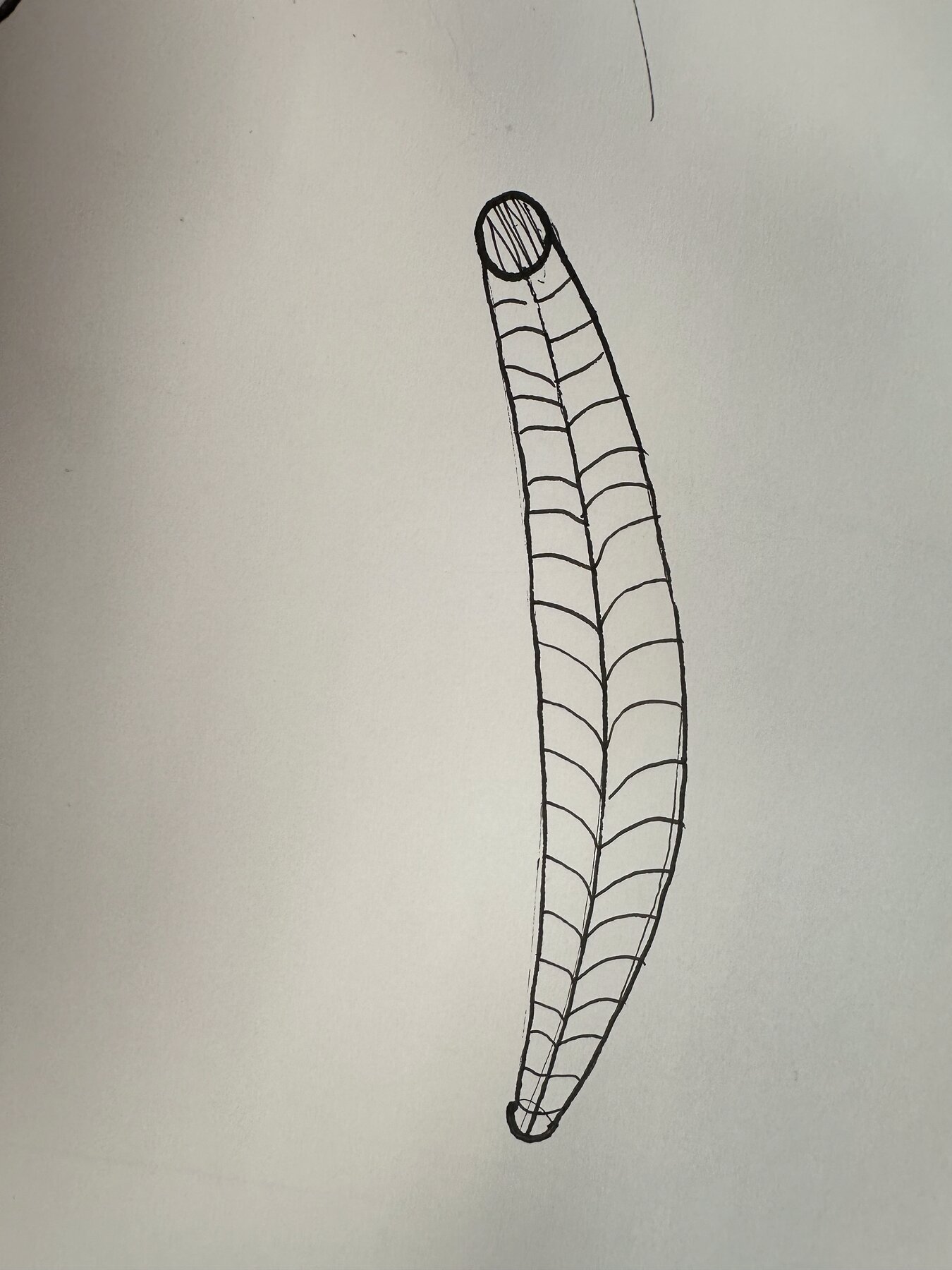 Silhouette sketch of a Fiskars precision knife handle